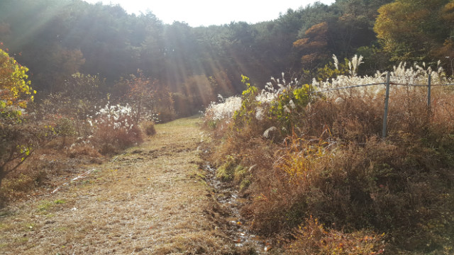 20181109_101641.jpg