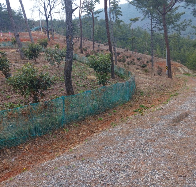 KakaoTalk_20260326_175828072_06.jpg